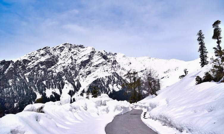 hotel in manali with mountain view